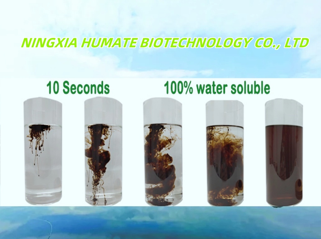 水溶.jpg