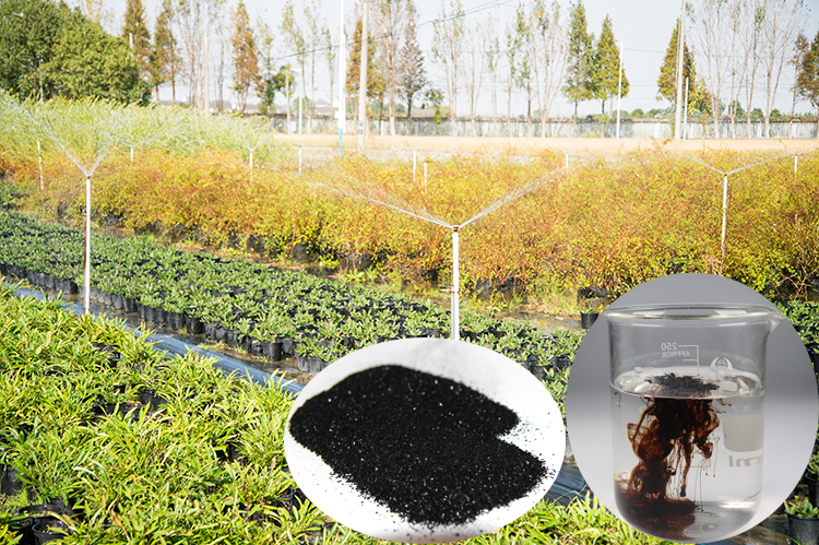 1768471797456196.jpg 移动端 横幅2.jpg